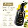 Zeytin Organic Olive Oil Extra Virgin - GOLD MEDAL & Early Harvest - Fresh 2024 Harvest, Bottled in Jan 2025 - New Luxury Packaging - Keto & Cold Pressed - Buttery & Smooth (16.9fl oz - 1 Pack) view 4