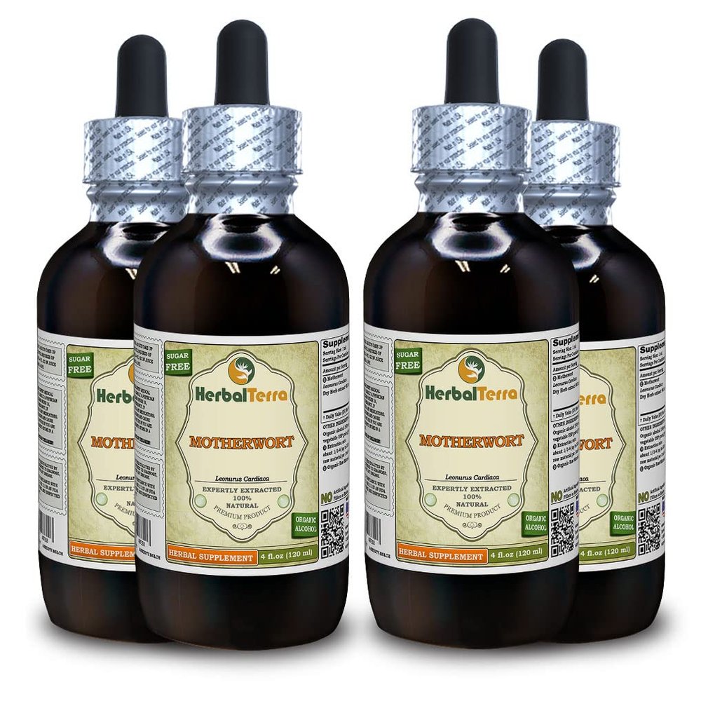 Motherwort (Leonurus Cardiaca) Tincture, Organic Dried Herb Liquid Extract (Brand Name: HerbalTerra, Proudly Made in USA) 4x4 fl.oz (4x120 ml)
