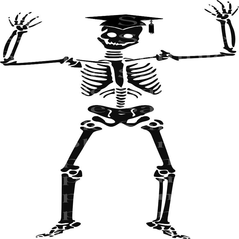 1/4 Sheet - Black Graduation Skeleton Birthday - D24371-2D Edible Cake/Cupcake Party Topper - D24371