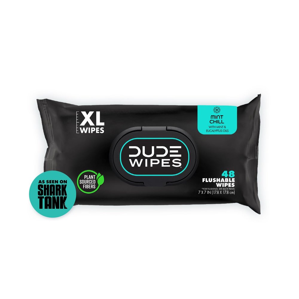 DUDE Wipes - Flushable Wipes - 1 Pack, 48 Count - Mint Chill - Vitamin-E, Aloe, Eucalyptus & Tea Tree Oils - Septic and Sewer Safe