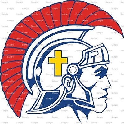 1/4 Sheet - Knight Crusader Mascot Birthday - D856 - 2D Edible Cake/Cupcake Party Topper