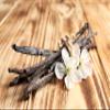 10 Vanilla Beans - Whole Extract Grade B Pods for Baking, Homemade Extract, Brewing, Coffee, Cooking - Tahitian view 3