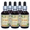 Zi Wan, Purple Aster (Aster Tataricus) Tincture, Organic Dried Root Powder Liquid Extract (Brand Name: HerbalTerra, Proudly Made in USA) 5x2 fl.oz (5x60 ml) view 1