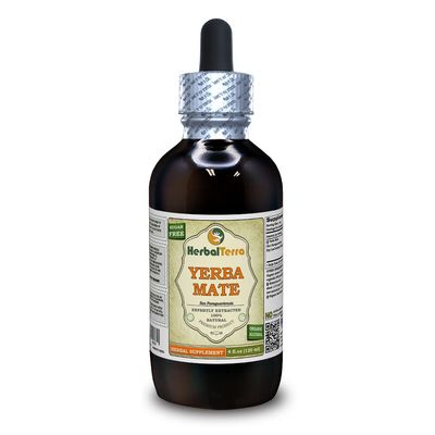 Yerba Mate (Ilex Paraguariensis) Tincture, Organic Dried Leaves Liquid Extract (Brand Name: HerbalTerra, Proudly Made in USA) 4 fl.oz (120 ml)