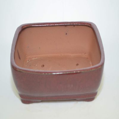 Bonsai Ceramic Pot 8", Burgundy Color, Glazed with draining Holes.
