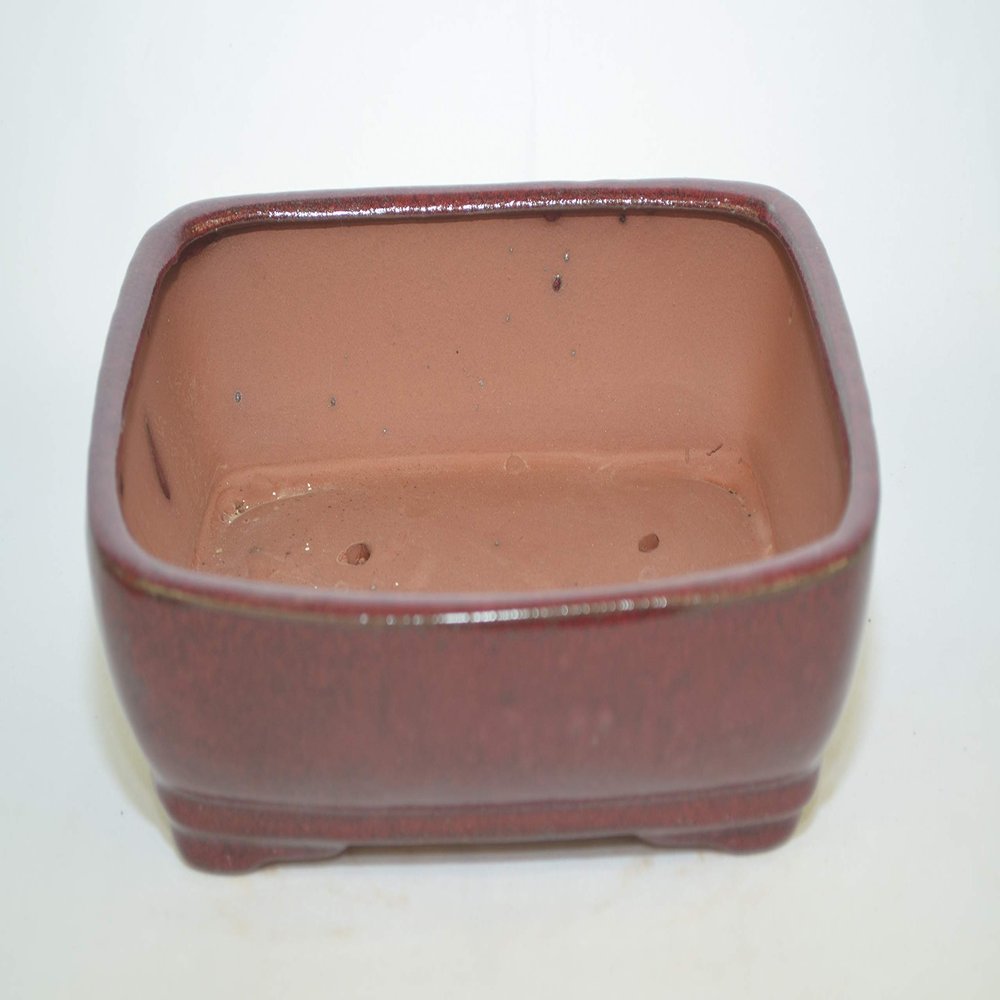 Bonsai Ceramic Pot 8", Burgundy Color, Glazed with draining Holes.