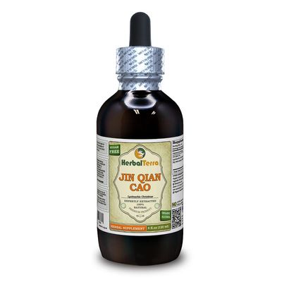 Jin Qian Cao (Lysimachia Christinae) Tincture, Organic Dried Herb Liquid Extract (Brand Name: HerbalTerra, Proudly Made in USA) 4 fl.oz (120 ml)