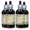 Mistletoe (Viscum Album) Tincture, Organic Dried Herb Liquid Extract (Brand Name: HerbalTerra, Proudly Made in USA) 4x4 fl.oz (4x120 ml) view 1