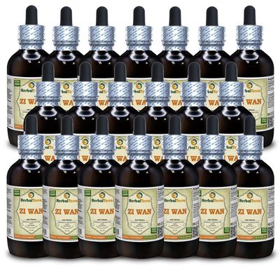 Zi Wan, Purple Aster (Aster Tataricus) Tincture, Organic Dried Root Powder Liquid Extract (Brand Name: HerbalTerra, Proudly Made in USA) 20x4 fl.oz (20x120 ml)