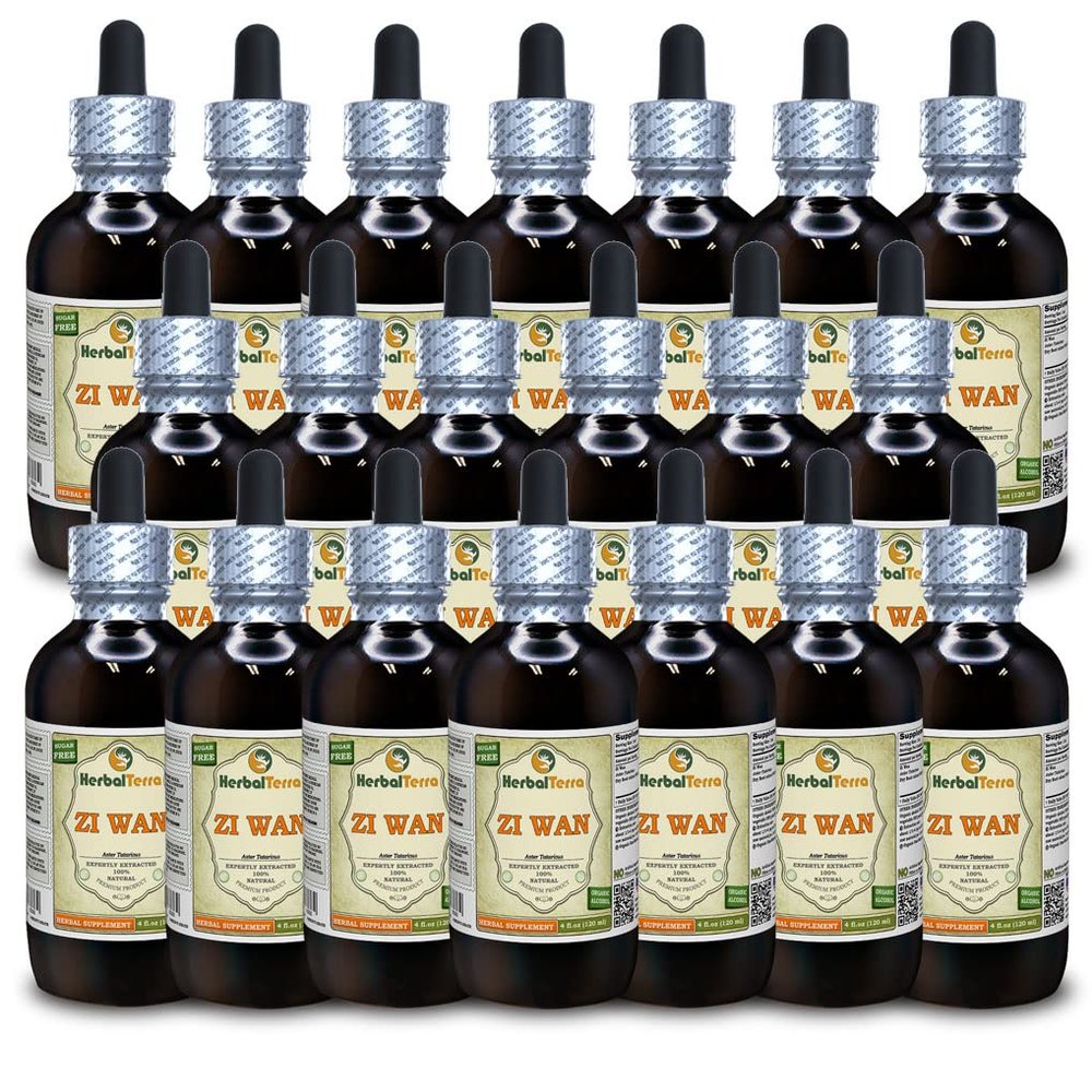 Zi Wan, Purple Aster (Aster Tataricus) Tincture, Organic Dried Root Powder Liquid Extract (Brand Name: HerbalTerra, Proudly Made in USA) 20x4 fl.oz (20x120 ml)