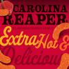 Herrs Cheese Curls, Carolina Reaper Flavor, Gluten Free Snacks, 6oz Bag (12 Count) view 2