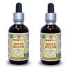 White Willow (Salix Alba) Tincture, Organic Dried Bark Liquid Extract (Brand Name: HerbalTerra, Proudly Made in USA) 2x2 fl.oz (2x60 ml) view 1