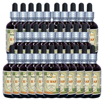 Zi Wan, Purple Aster (Aster Tataricus) Tincture, Organic Dried Root Powder Liquid Extract (Brand Name: HerbalTerra, Proudly Made in USA) 30x2 fl.oz (30x60 ml)