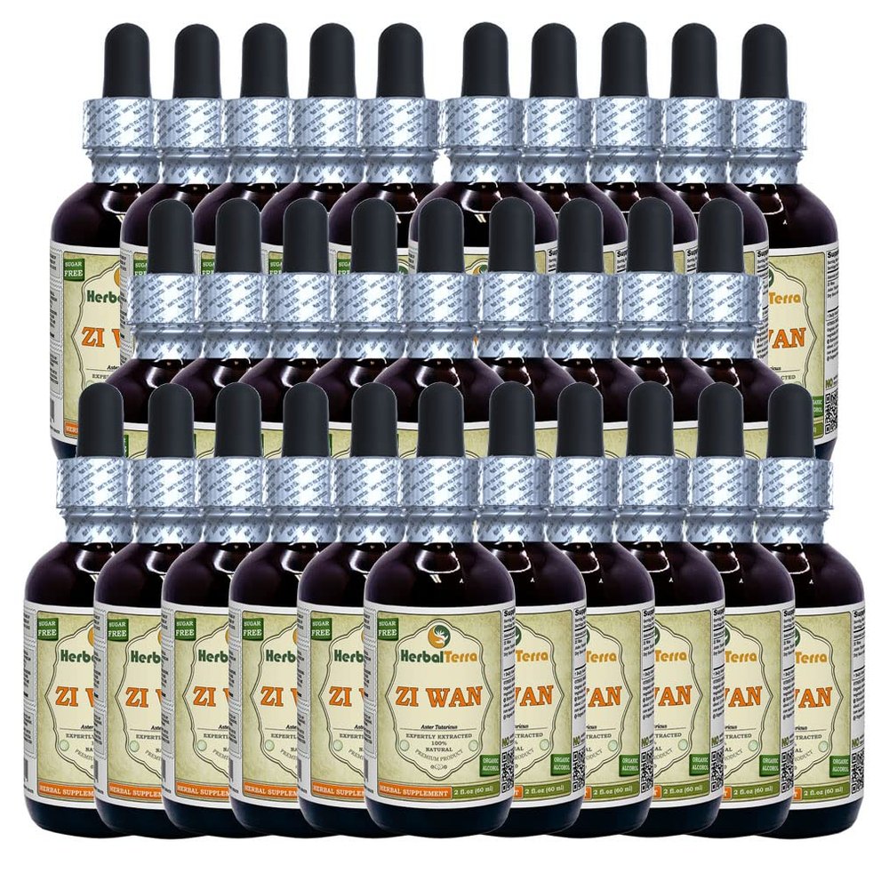 Zi Wan, Purple Aster (Aster Tataricus) Tincture, Organic Dried Root Powder Liquid Extract (Brand Name: HerbalTerra, Proudly Made in USA) 30x2 fl.oz (30x60 ml)