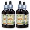 White Willow (Salix Alba) Tincture, Organic Dried Bark Liquid Extract (Brand name: HerbalTerra, Proudly made in USA) 4x4 fl.oz (4x120 ml) view 1
