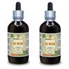 Zi Wan, Purple Aster (Aster Tataricus) Tincture, Organic Dried Root Powder Liquid Extract (Brand Name: HerbalTerra, Proudly Made in USA) 2x4 fl.oz (2x120 ml) view 1