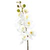 SIMPLY ELEGANT White Phalaenopsis Faux Orchid Spray view 1