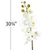 SIMPLY ELEGANT White Phalaenopsis Faux Orchid Spray view 2