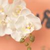 SIMPLY ELEGANT White Phalaenopsis Faux Orchid Spray view 4