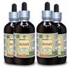 Kudzu (Pueraria Lobata) Tincture, Organic Dried Roots Liquid Extract (Brand Name: HerbalTerra, Proudly Made in USA) 4x4 fl.oz (4x120 ml) view 1