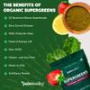 Paleovalley Organic Supergreens - Organic Greens Powder Superfood for Immune Support - Paleo Green Powder Blend - 28 Servings - 23 Superfoods - Gluten Free, No Cereal Grasses, Soy or Grain view 4