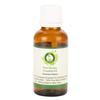 Davana Essential Oil | Artemisia Pallens | Davana Oil | 100% Pure Natural | Pure Davana Oil | Steam Distilled | Therapeutic Grade | 5ml | 0.169oz by R V Essential view 1