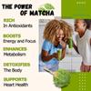 Organic Sweet Matcha Green Tea Powder - Cafe Style Blend by Cherie Sweet Heart - 16oz, Vegan & Gluten-Free, Rich in Antioxidants, Perfect for Lattes, Smoothies & Baking view 4