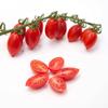 Cosi Come - Datterini Tomatoes in Juice (12.354 oz) 350 g, Low-acid, No additives, No preservatives, 100% Natural, Non-GMO, Product of Italy view 3