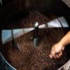 1 LB Panama Hacienda La Esmeralda, Washed, 100% Geisha Coffee (Dark Roast) view 3