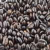 1 LB Panama Hacienda La Esmeralda, Washed, 100% Geisha Coffee (Dark Roast) view 4