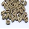 1 LB Panama Hacienda La Esmeralda, Washed, 100% Geisha Coffee (Green (Unroasted) Beans) view 1