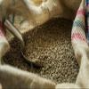 1 LB Panama Hacienda La Esmeralda, Washed, 100% Geisha Coffee (Green (Unroasted) Beans) view 3