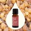 Plant Therapy Fantastic Franks Essential Oil Blend 10 mL (1/3 oz) 100% Pure, Undiluted, Therapeutic Grade view 3
