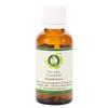 Anise Essential Oil | Pimpinella Anisum | Anise Oil | for Baking | Pure Anise Oil | for Cooking | 100% Pure Natural | Steam Distilled | Therapeutic Grade | 100ml | 3.38oz by R V Essential view 1