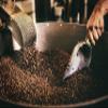 1 LB Panama Hacienda La Esmeralda, Washed, 100% Geisha Coffee (Medium Roast) view 3