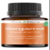 Viva Doria Bergamot Essential Oil, 100% Pure, Natural, Italian Bergamot Essential Oil, Undiluted, for Aromatherapy | Food Grade, 15 mL (0.5 Fluid Ounce) view 1