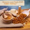 Terre Fertile  AKPI Seeds  Djansang/Jansang  100% Natural & Organic Product  African Spice view 3