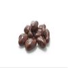 Yupik Dark Chocolate Pecans, 60% Cacao, 2.2 lb (35.2 oz), Kosher, Chocolate Nuts, Pecans Dipped in Rich Dark Chocolate, Crunchy & Smooth, Chocolate Candy, Sweet Snack, Ideal for Baking & Decorating view 4