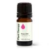 Plant Therapy Rose Otto Essential Oil 5 mL (1/6 oz) 100% Pure, Undiluted, Aromatherapy, Skin Care, Relaxing, Romantic Aroma view 1