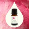Plant Therapy Rose Otto Essential Oil 5 mL (1/6 oz) 100% Pure, Undiluted, Aromatherapy, Skin Care, Relaxing, Romantic Aroma view 3