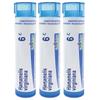 Boiron Hamamelis Virginiana 6c Homeopathic Medicine for Hemorrhoids with Bursting Sensation - Pack of 3 (240 Pellets) view 1