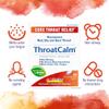 Boiron ThroatCalm Tablets for Pain Relief from Red, Dry, Scratchy, Sore Throats and Hoarseness - 120 Count (Pack of 2) view 3
