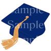 1/2 Sheet - Blue Graduation Cap Birthday - D24412-2D Edible Cake/Cupcake Party Topper - D24412 view 1