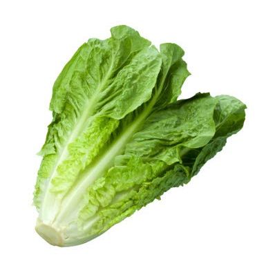 Lettuce, Romaine, 1 Each
