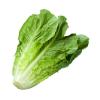 Lettuce, Romaine, 1 Each view 1
