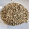 Malted Barley for Moonshine Whiskey Mash by North Georgia Still Company (5 lbs.) view 2