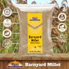 Rani Barnyard Millet (Echinochloa Esculenta Frumantacea) Whole Ancient Grain Seeds 28oz (1.75lbs) 800g ~ All Natural | Gluten Friendly | NON-GMO | Kosher | Vegan | Indian Origin | Shama/Sanwa view 4
