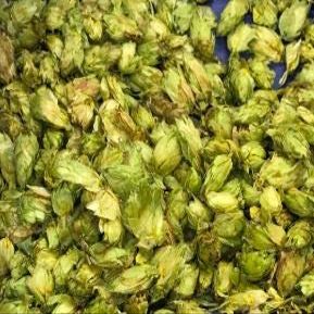 Hops Brewer (Sladek) 100g Sladek - leaf hops (czech hops)