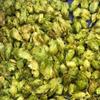 Hops Brewer (Sladek) 100g Sladek - leaf hops (czech hops) view 1