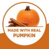 Krusteaz Pumpkin Spice Pancake Mix, 16 Ounce (Pack of 1) view 4